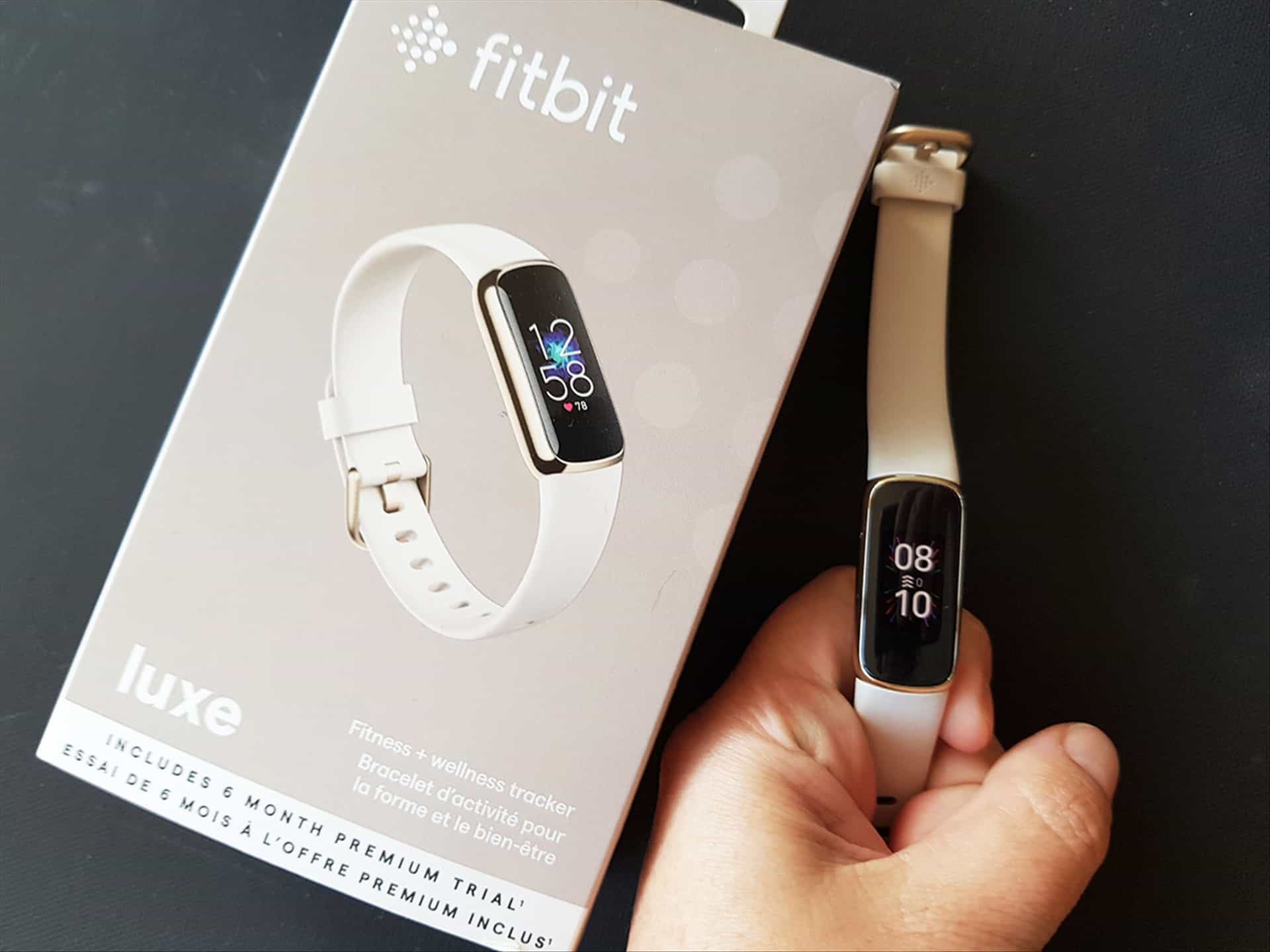 Fitbit Luxe Special Edition Gold Stainless Steel Parker Link Bracelet —  Shop Home Med