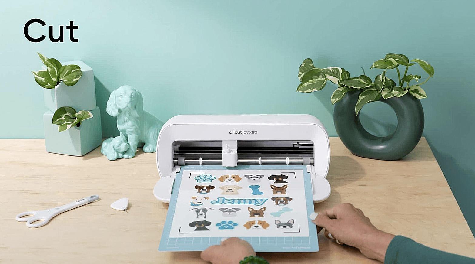 Cricut Joy Xtra Review and Demonstration with PRINT AND CUT for